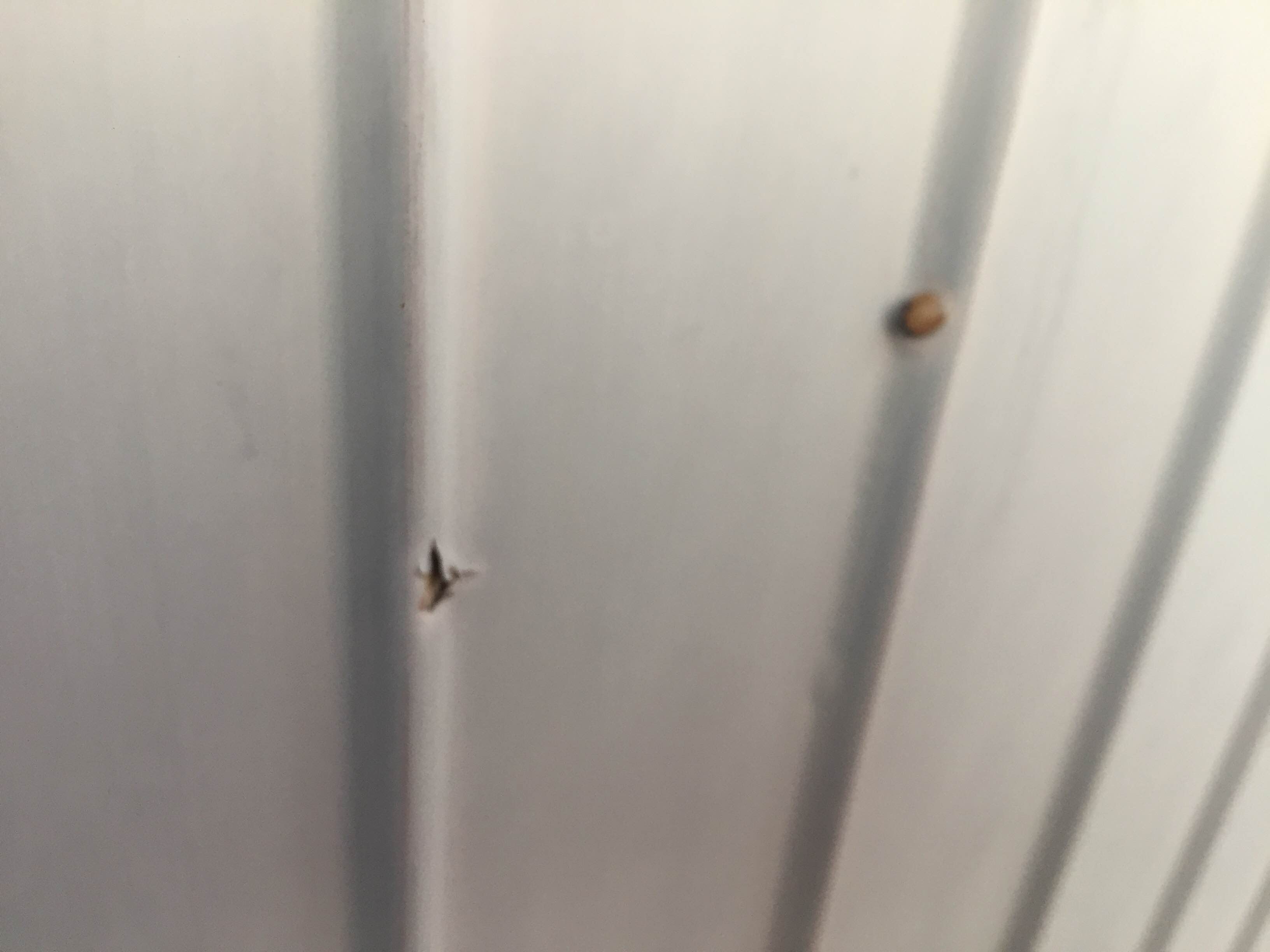 岐阜県瑞穂市で外壁塗装のお見積り