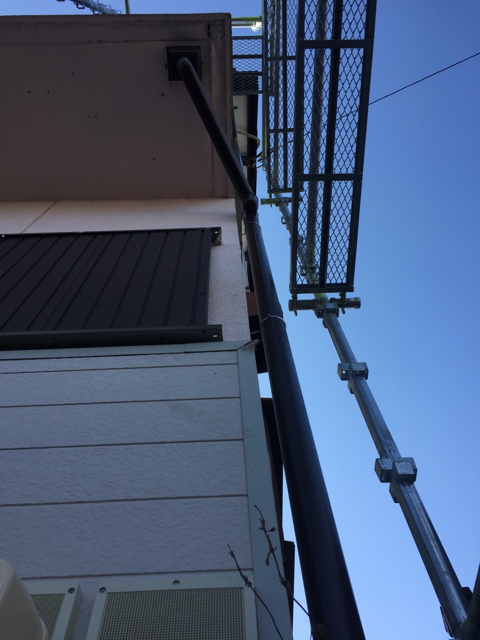 IMG_0719.1.JPGのサムネイル画像のサムネイル画像