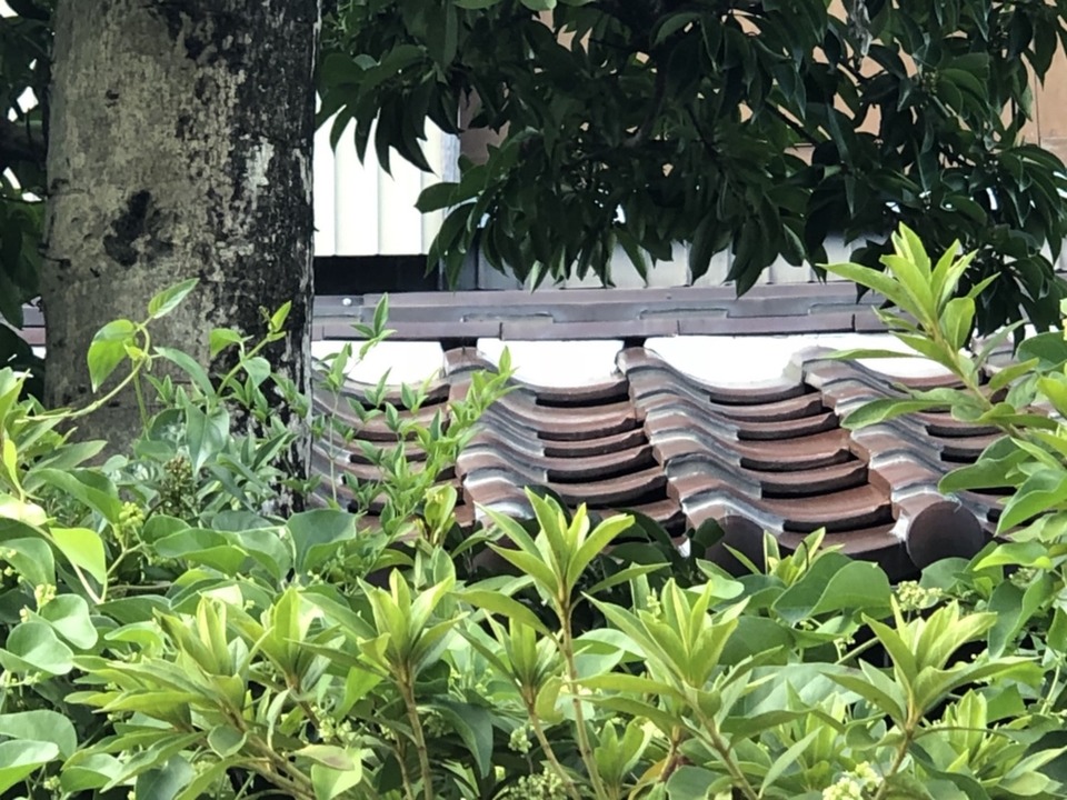 20190315-t-sama-ato001.JPG