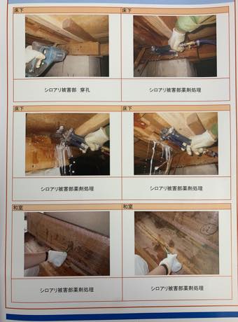 大垣市中野町 Y様邸シロアリ駆除工事の詳細写真です