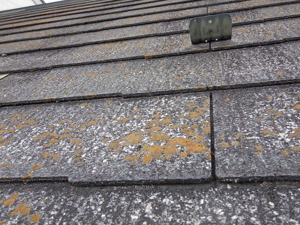 高木憲司様邸_20230214_19700120_000 (2).jpeg