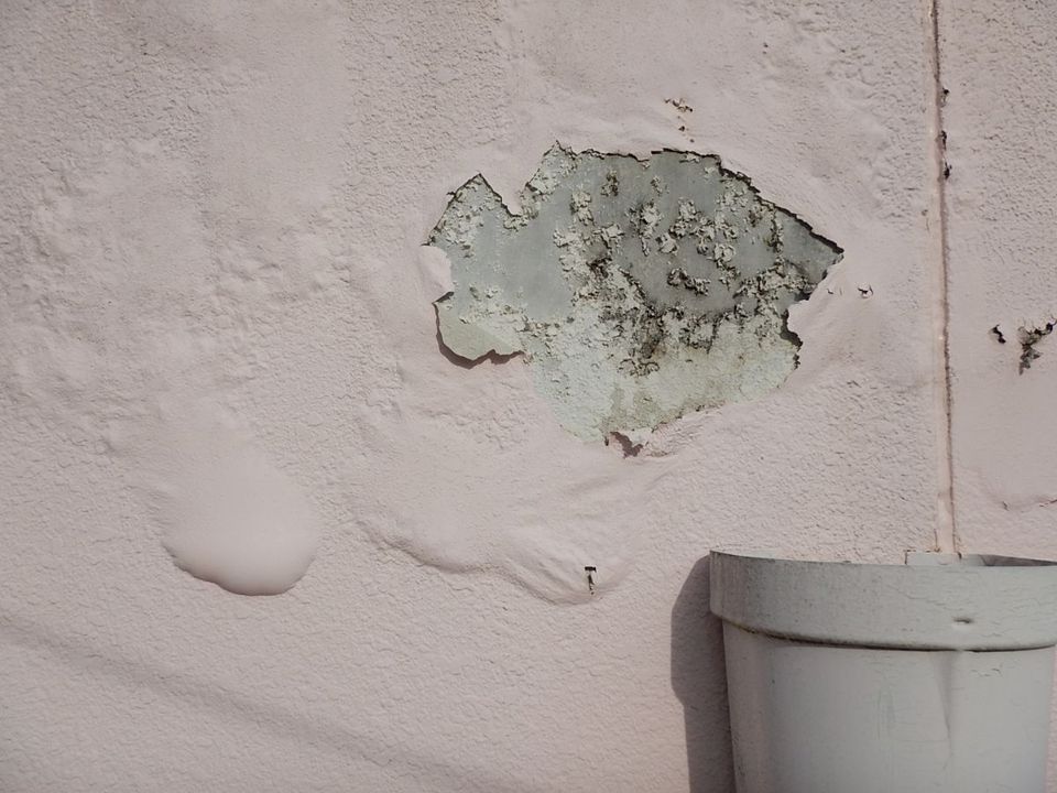 山川大介様邸長良_20230625_20230625_000 (6).jpeg